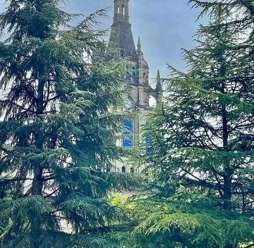 Appartement Amatxo Maitia - Amplio Piso, De Premio 